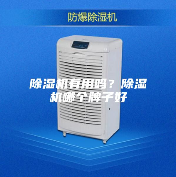 除湿机有用吗？除湿机哪个牌子好