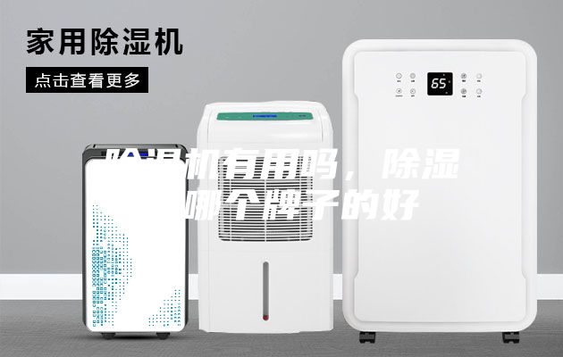 除湿机有用吗，除湿机哪个牌子的好
