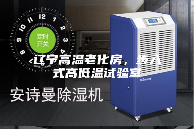 辽宁高温老化房，步入式高低温试验室