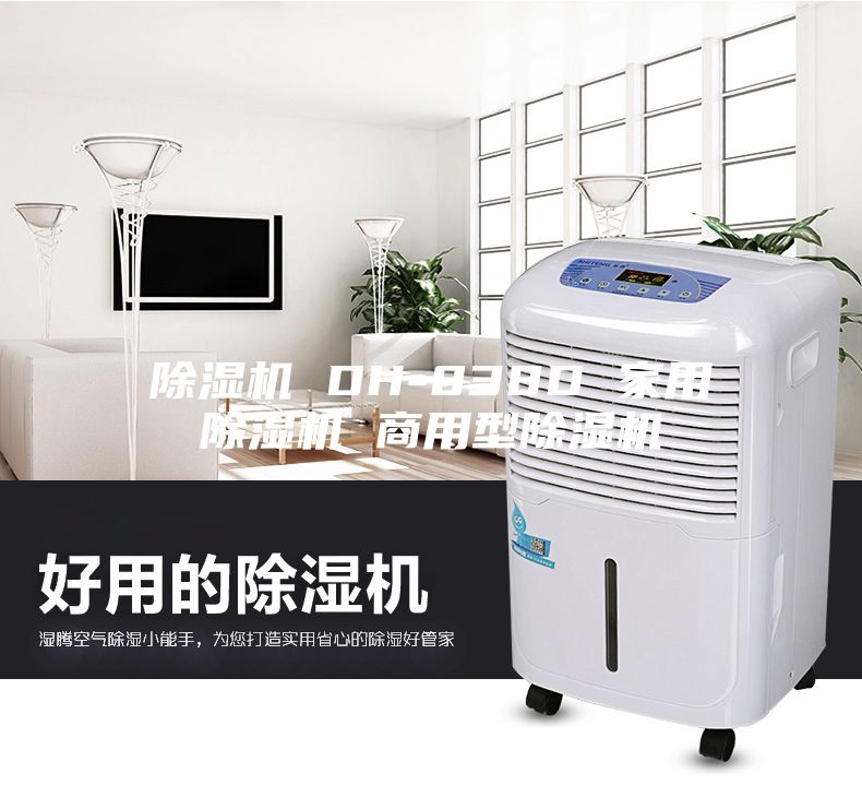 除湿机 DH-838D 家用除湿机 商用型除湿机