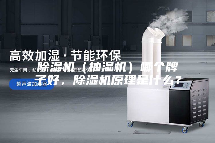 除湿机（抽湿机）哪个牌子好，除湿机原理是什么？