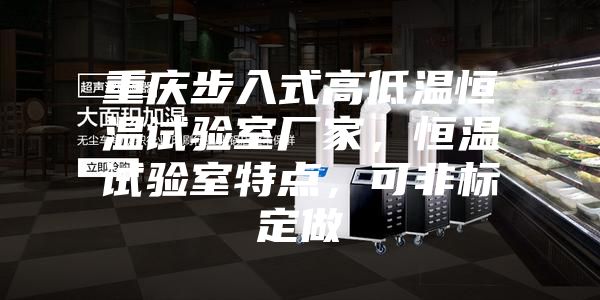 重庆步入式高低温恒温试验室厂家，恒温试验室特点，可非标定做