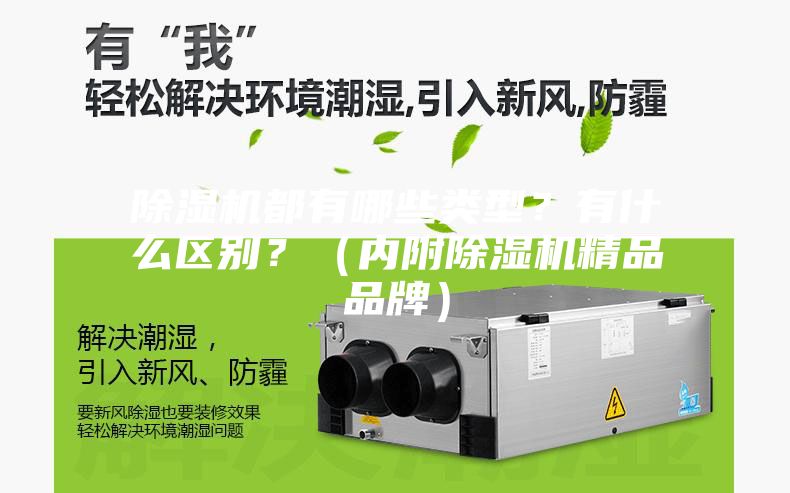 除湿机都有哪些类型？有什么区别？（内附除湿机精品品牌）