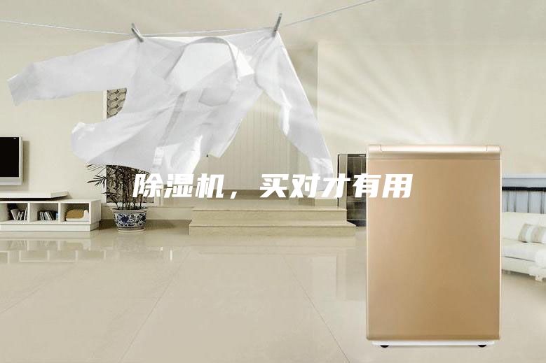 除湿机，买对才有用