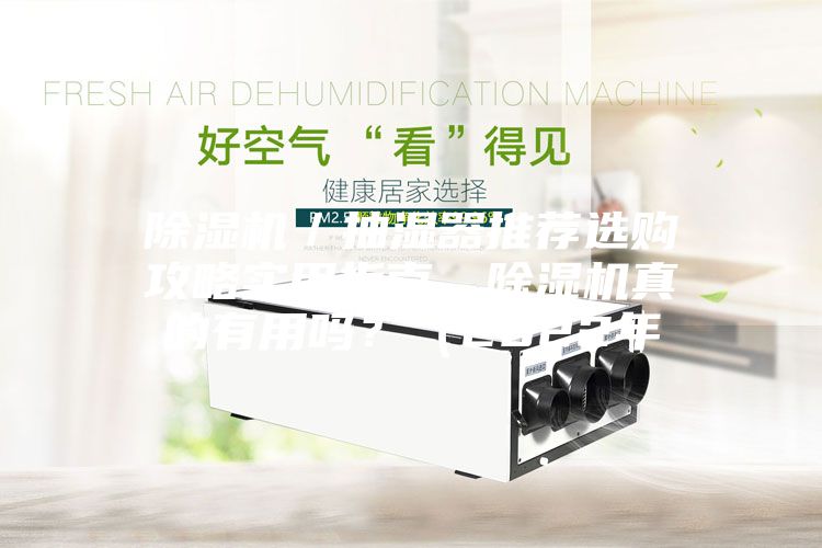 除湿机／抽湿器推荐选购攻略实用指南，除湿机真的有用吗？（2022年