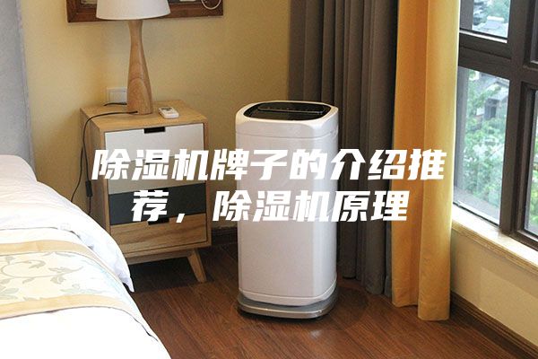 除湿机牌子的介绍推荐，除湿机原理