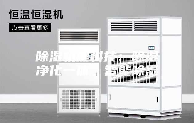 除湿机黑科技：除湿净化一体，智能除湿
