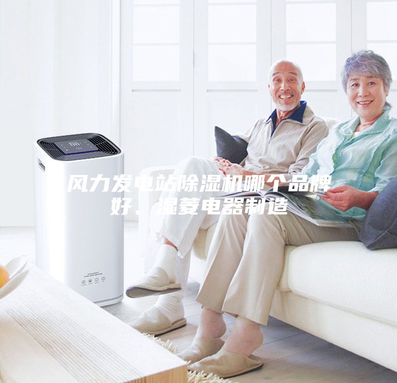 风力发电站除湿机哪个品牌好、湿菱电器制造