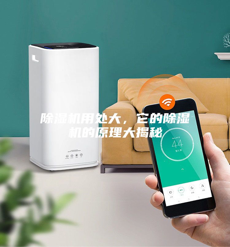 除湿机用处大，它的除湿机的原理大揭秘
