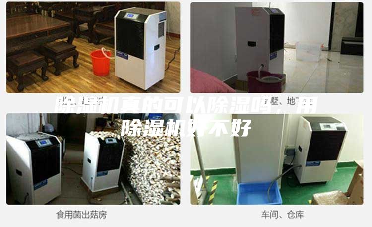 除湿机真的可以除湿吗，用除湿机好不好