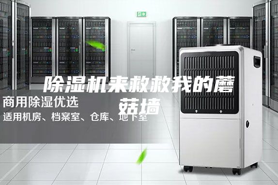 除湿机来救救我的蘑菇墙