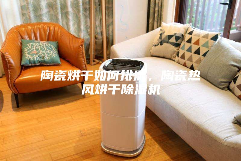 陶瓷烘干如何排湿，陶瓷热风烘干除湿机