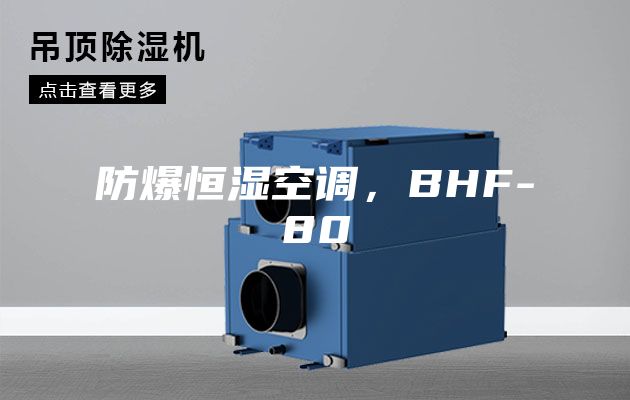 防爆恒湿空调，BHF-80