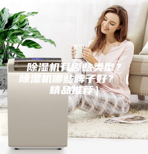 除湿机有哪些类型？除湿机哪些牌子好？（精品推荐）