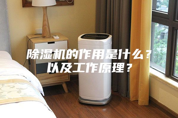 除湿机的作用是什么？以及工作原理？
