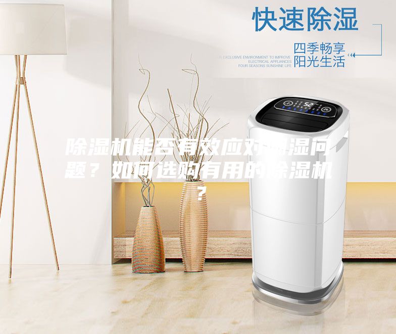 除湿机能否有效应对潮湿问题？如何选购有用的除湿机？
