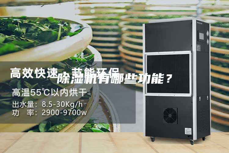 除湿机有哪些功能？