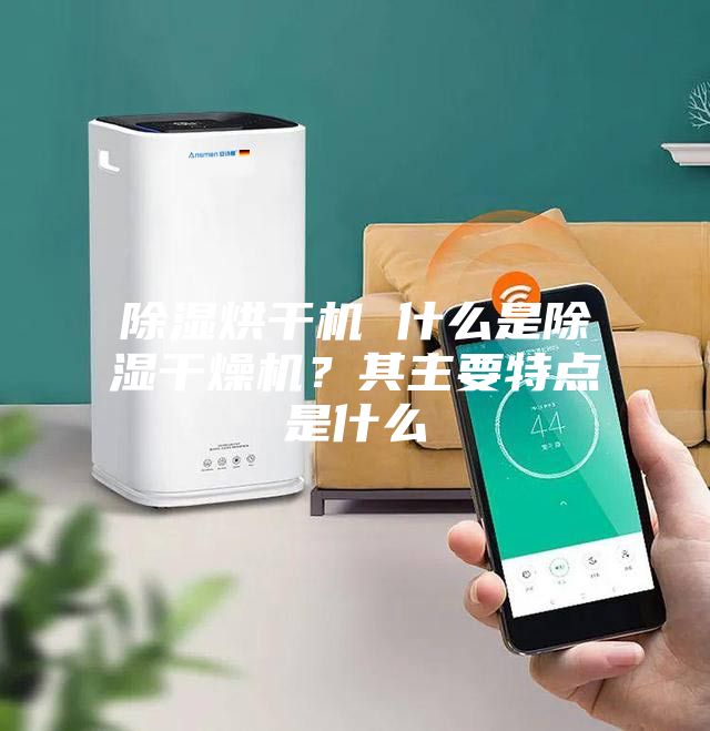 除湿烘干机 什么是除湿干燥机？其主要特点是什么