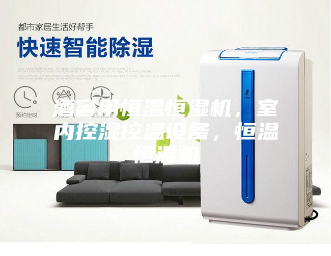 酒窖用恒温恒湿机，室内控湿控温设备，恒温恒湿机
