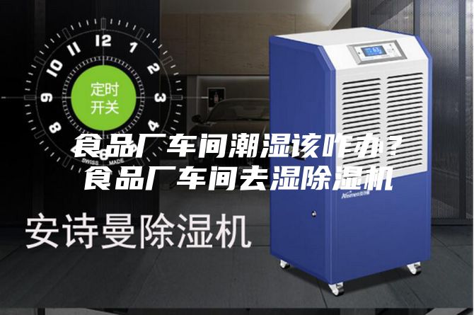 食品厂车间潮湿该咋办？食品厂车间去湿除湿机