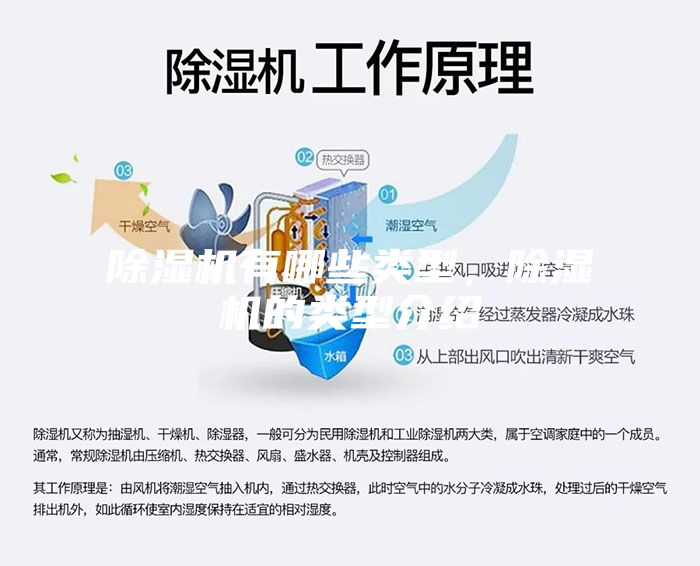 除湿机有哪些类型，除湿机的类型介绍