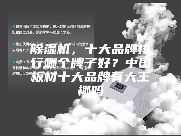 除湿机，十大品牌排行哪个牌子好？中国板材十大品牌有大王椰吗