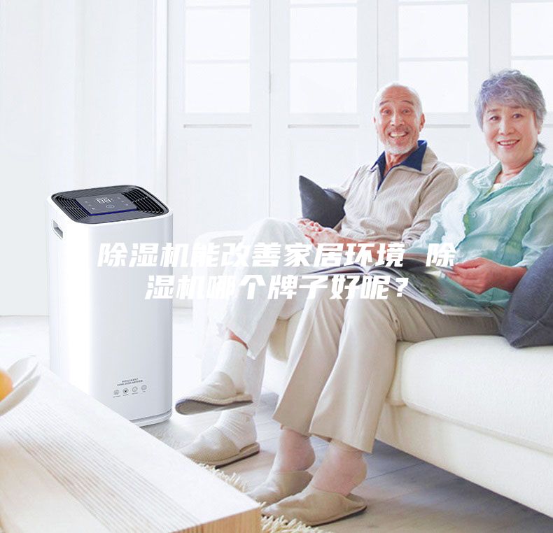 除湿机能改善家居环境 除湿机哪个牌子好呢？