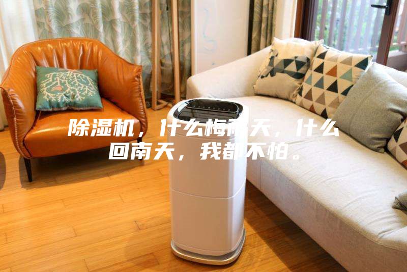 除湿机，什么梅雨天，什么回南天，我都不怕。