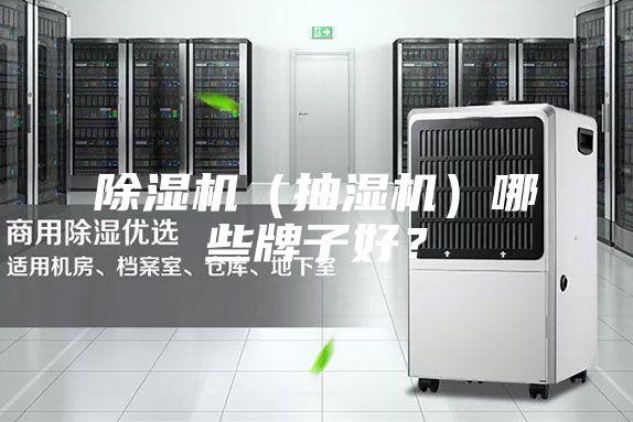 除湿机（抽湿机）哪些牌子好？
