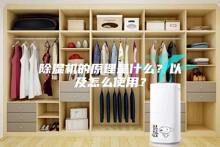除湿机的原理是什么？以及怎么使用？