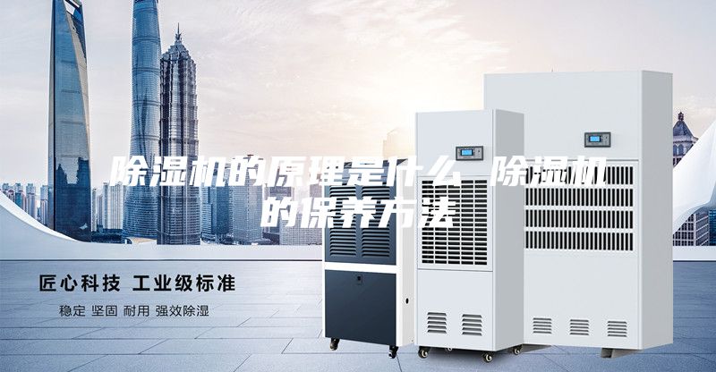 除湿机的原理是什么 除湿机的保养方法