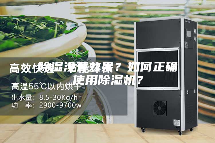 除湿没有效果？如何正确使用除湿机？
