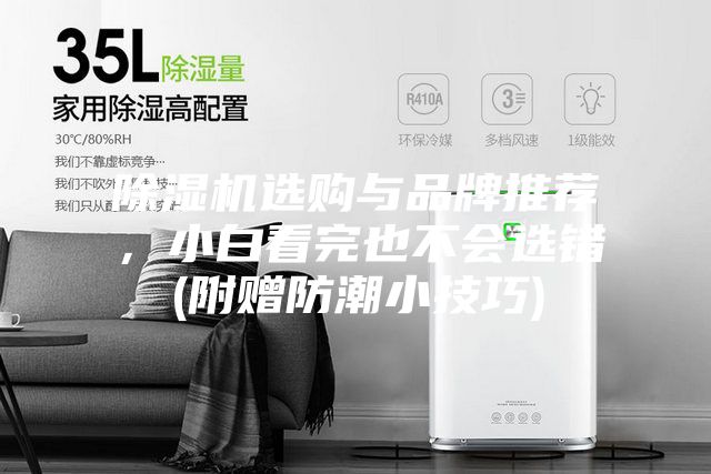 除湿机选购与品牌推荐，小白看完也不会选错(附赠防潮小技巧)