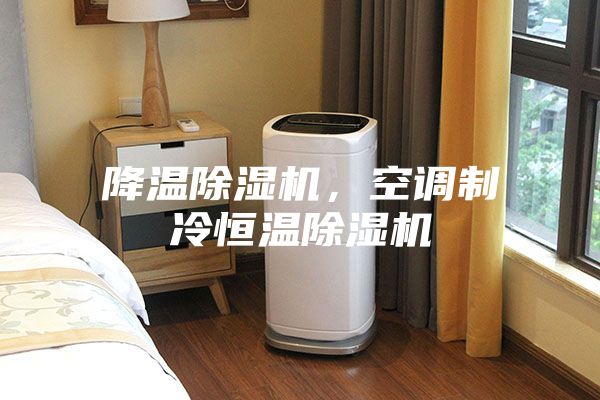 降温除湿机，空调制冷恒温除湿机