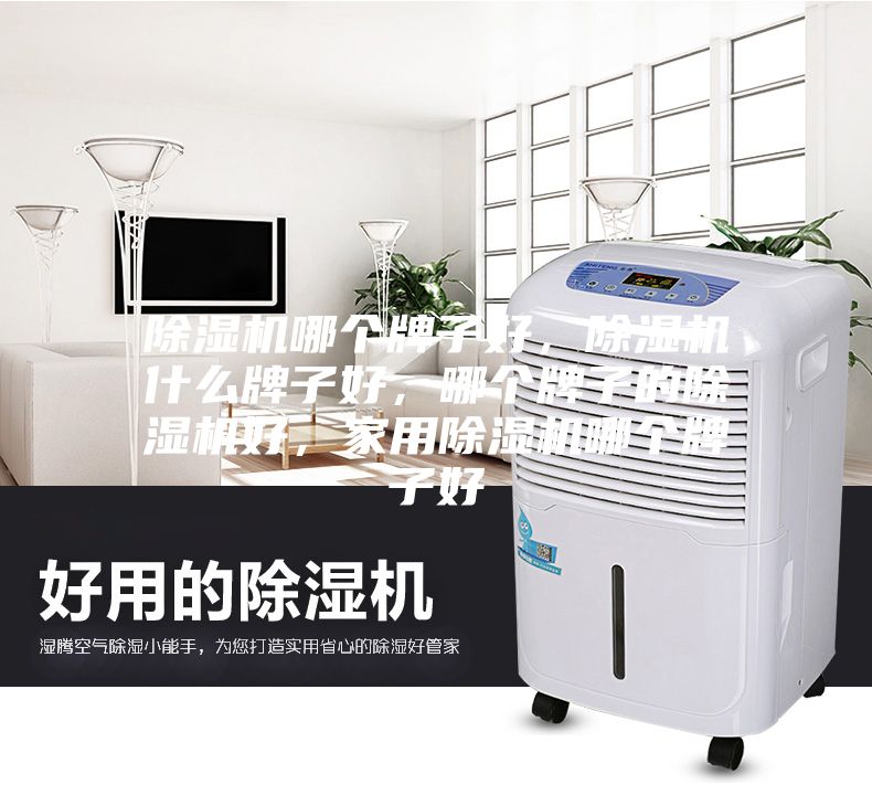 除湿机哪个牌子好，除湿机什么牌子好，哪个牌子的除湿机好，家用除湿机哪个牌子好