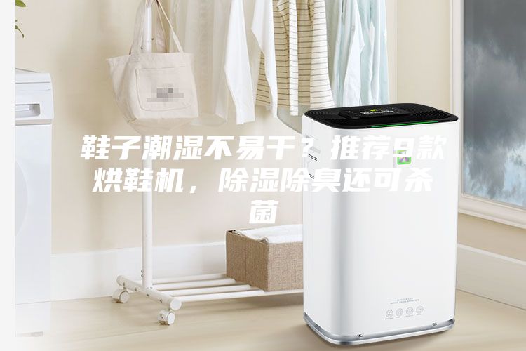 鞋子潮湿不易干？推荐9款烘鞋机，除湿除臭还可杀菌