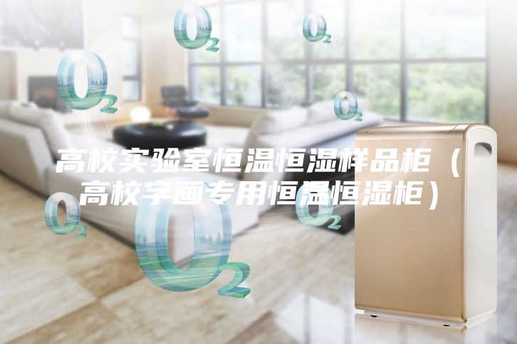 高校实验室恒温恒湿样品柜（高校字画专用恒温恒湿柜）