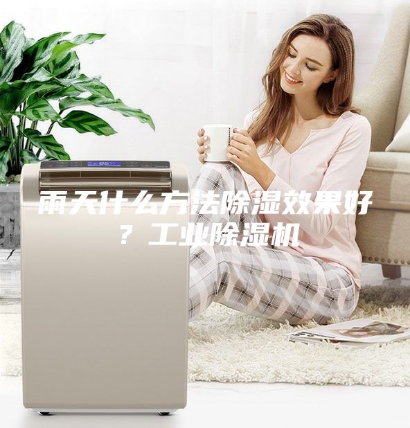 雨天什么方法除湿效果好？工业除湿机