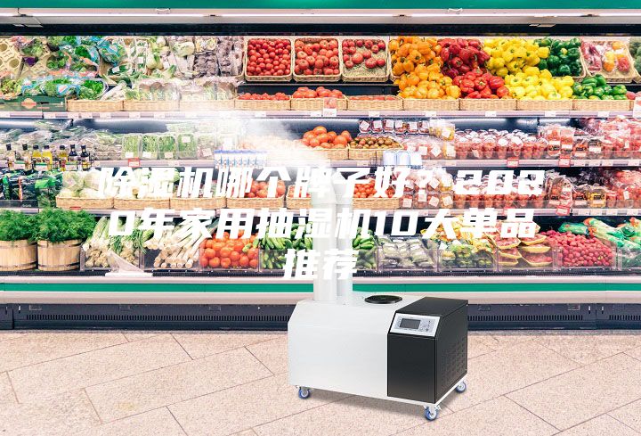 除湿机哪个牌子好？2020年家用抽湿机10大单品推荐
