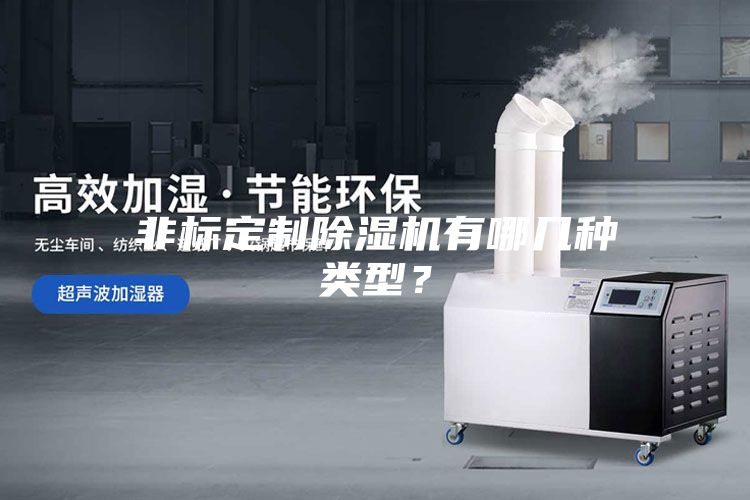 非标定制除湿机有哪几种类型？