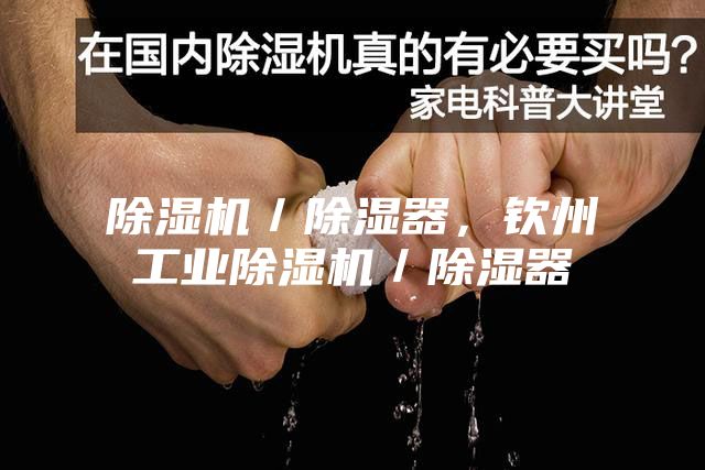 除湿机／除湿器，钦州工业除湿机／除湿器
