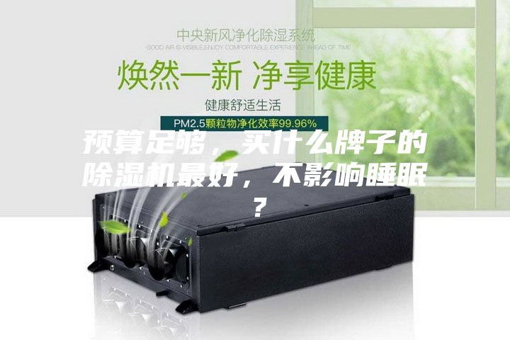 预算足够，买什么牌子的除湿机最好，不影响睡眠？
