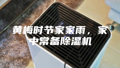 黄梅时节家家雨，家中常备除湿机