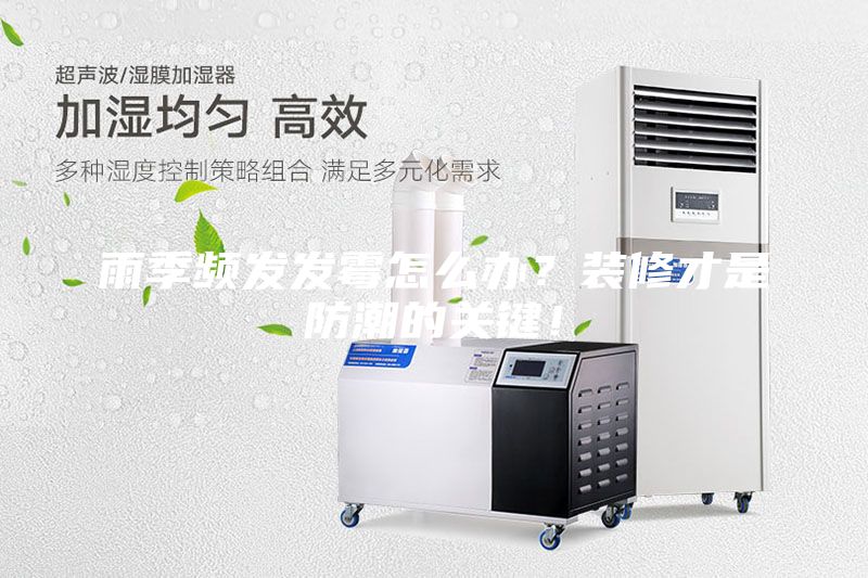 雨季频发发霉怎么办？装修才是防潮的关键！