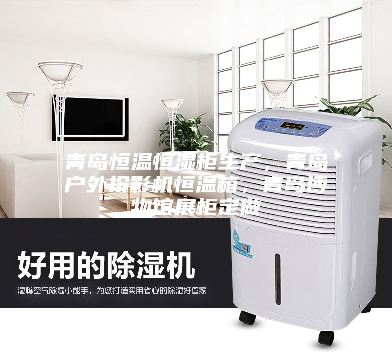 青岛恒温恒湿柜生产，青岛户外投影机恒温箱，青岛博物馆展柜定做