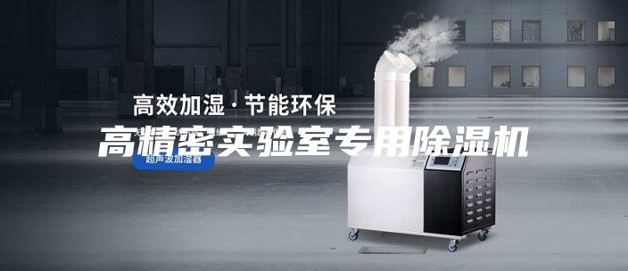 高精密实验室专用除湿机