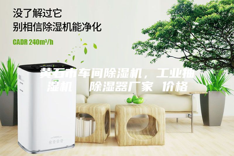 黄石市车间除湿机，工业抽湿机  除湿器厂家 价格