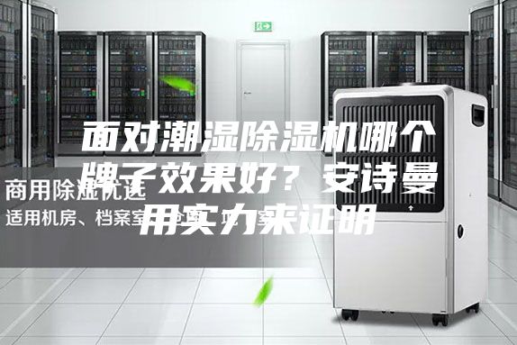 面对潮湿除湿机哪个牌子效果好？安诗曼用实力来证明