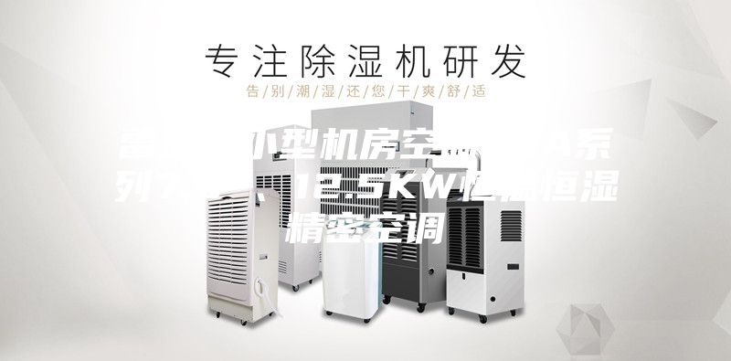 雷迪司小型机房空调LSA系列7.5 、12.5KW恒温恒湿精密空调