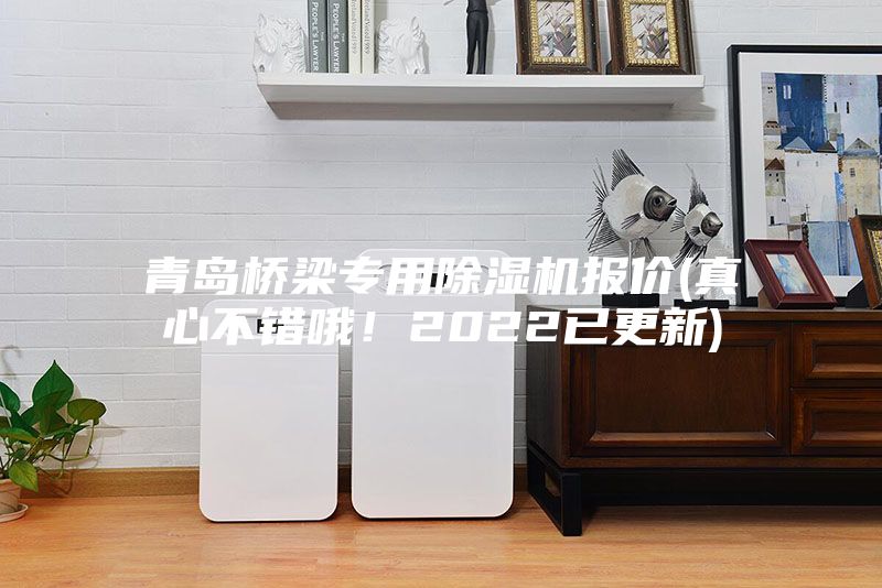 青岛桥梁专用除湿机报价(真心不错哦！2022已更新)